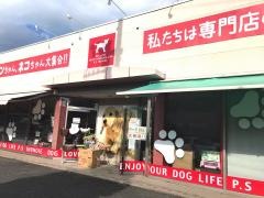 ペットショップ犬の家長野店