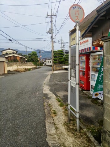 投稿写真2