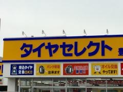 タイヤセレクト　豊平