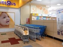 トイザらスつくば店