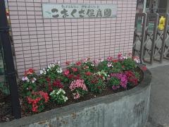 こまくさ保育園