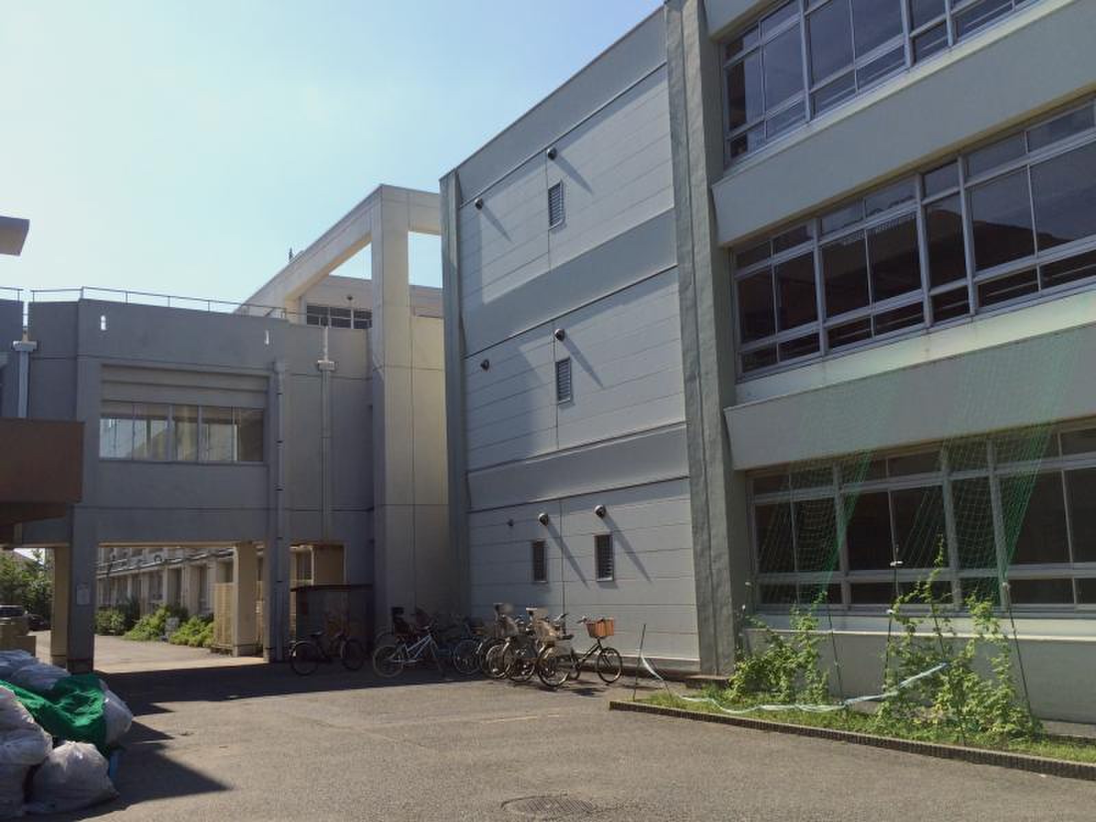 茅ヶ崎 市立 松浪 小学校