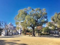 常磐公園
