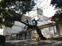神東小学校