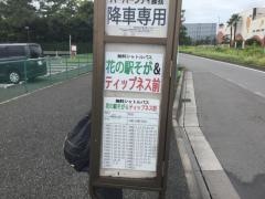 「フェスティバルウォーク前」バス停留所