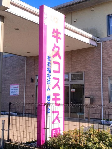 牛久コスモス園