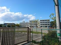小松島小学校