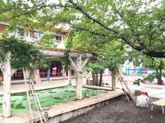 ねむの木保育園