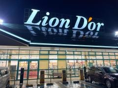 リオン・ドール白根店