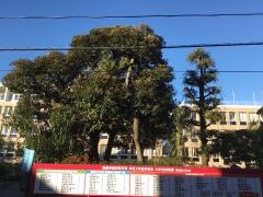 加藤学園高等学校