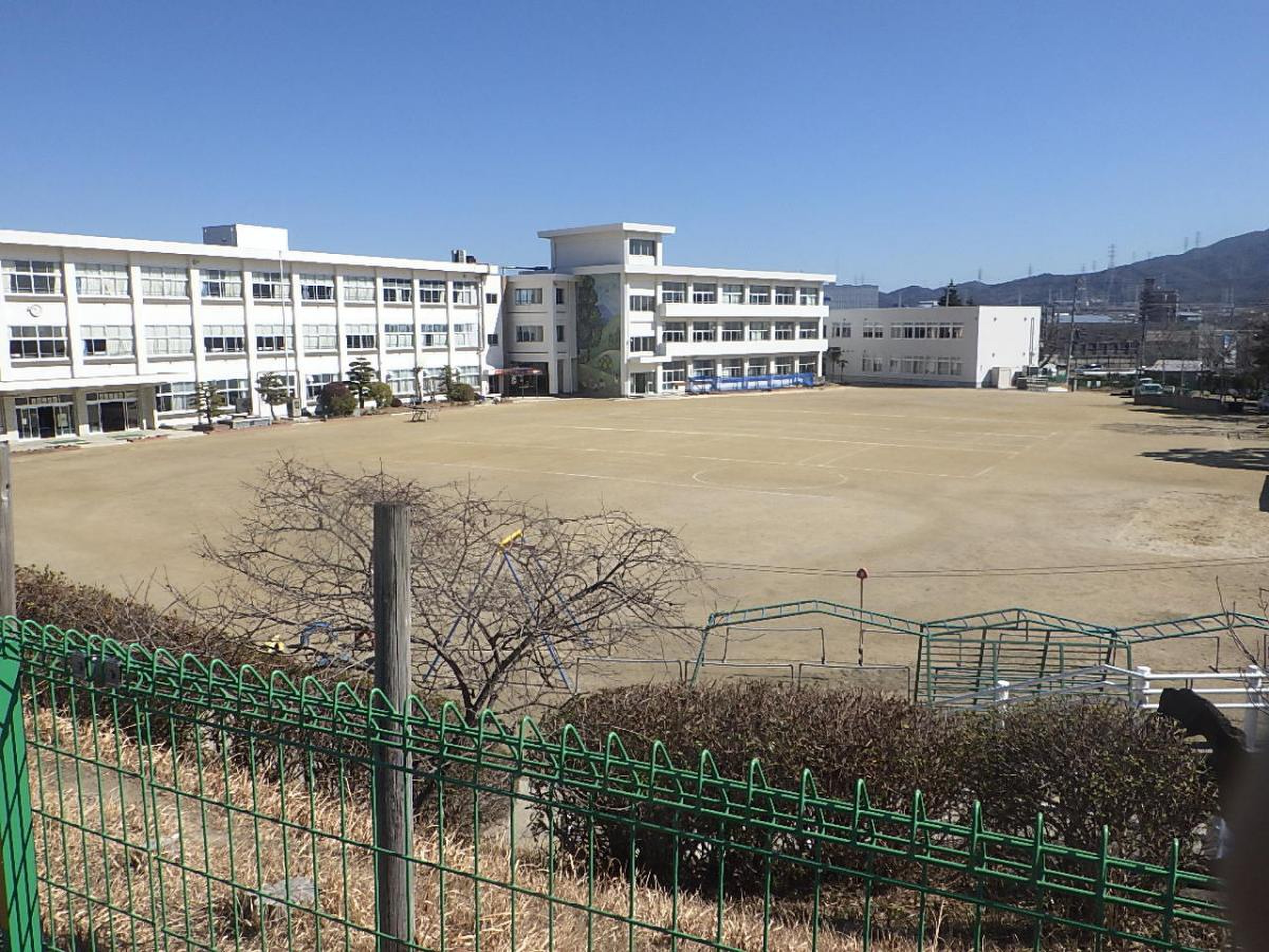 豊 坂 小学校