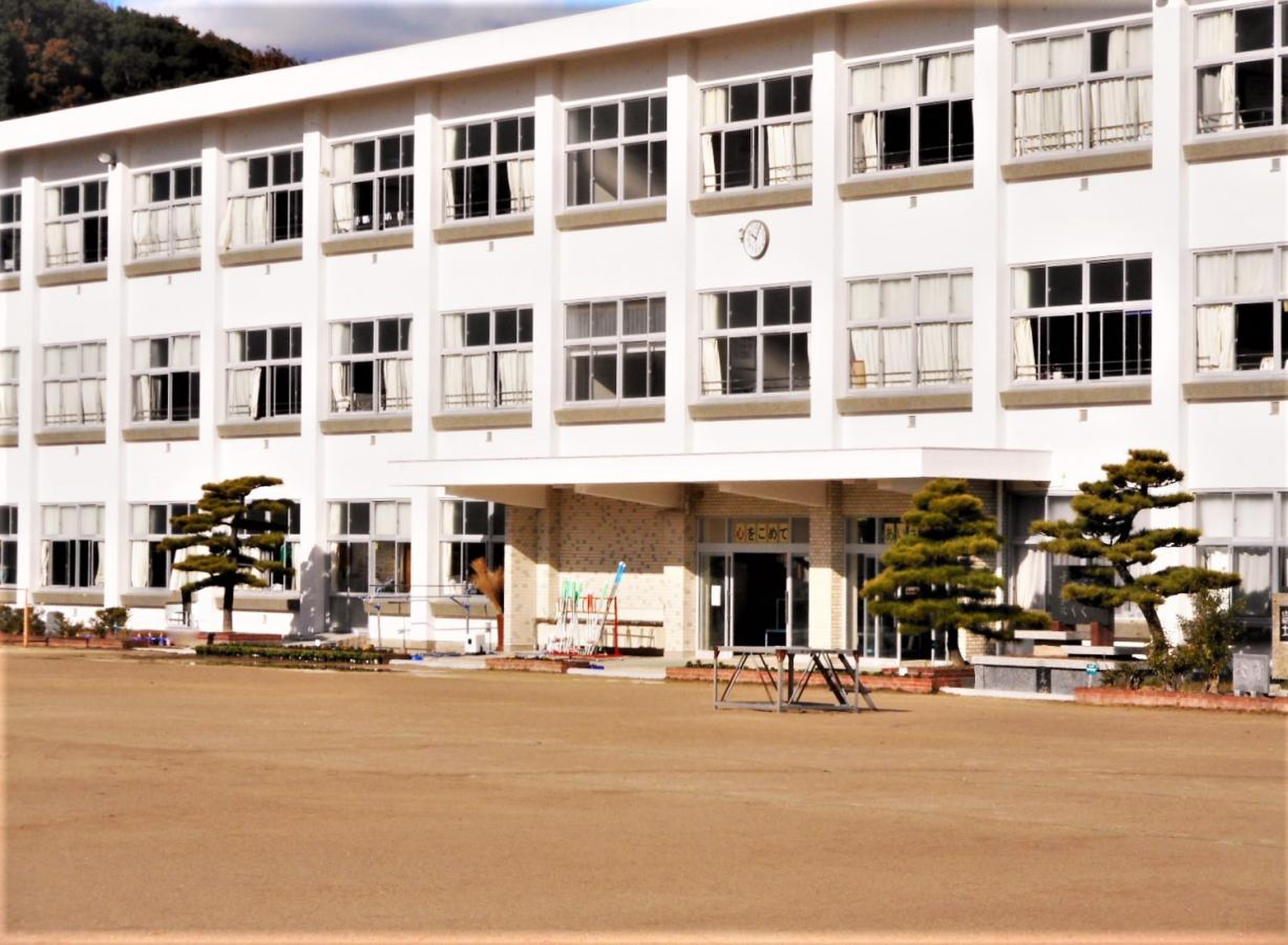 豊 坂 小学校