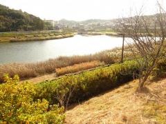 玉原親水公園
