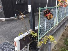 ひな家