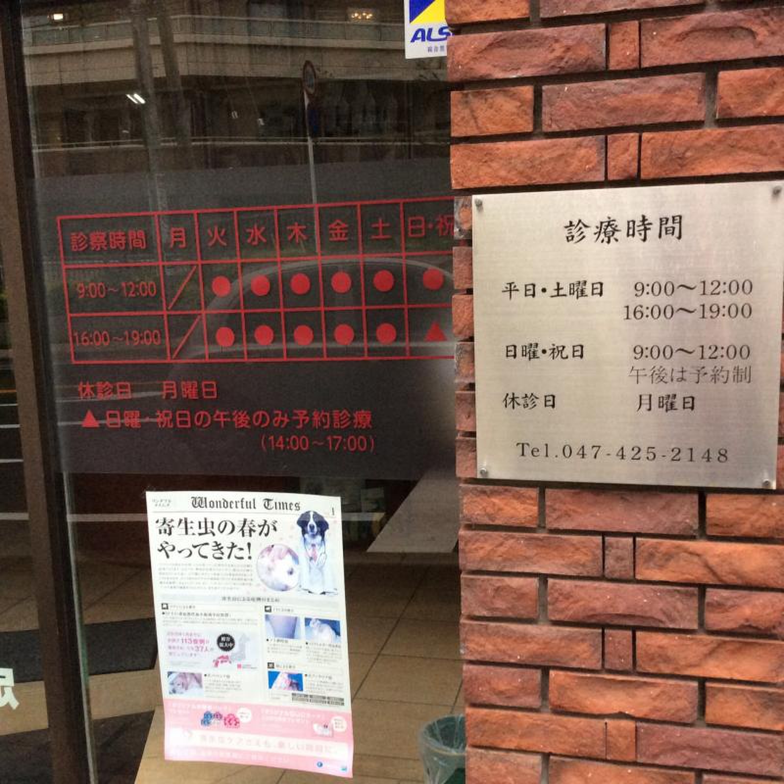 しらかば 動物 病院