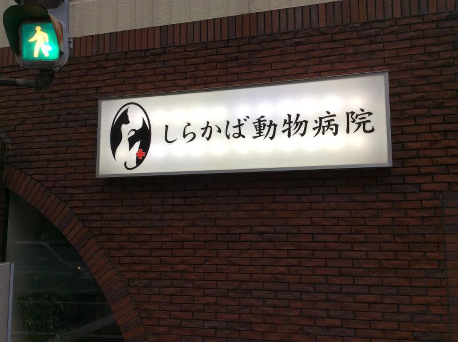 しらかば 動物 病院