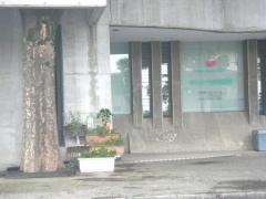 さいとう歯科医院