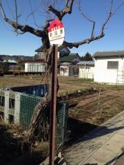 「新田原」バス停留所
