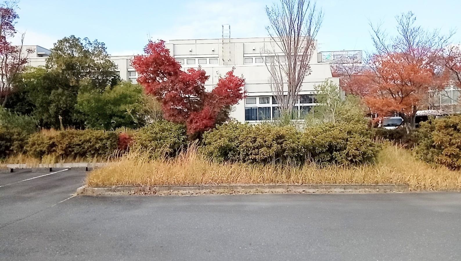エバーグリーン掛川