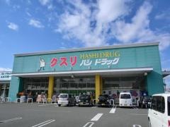 ハシドラッグ南福島店