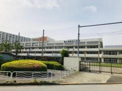 大島南央小学校