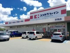 ココカラファイン渋見店