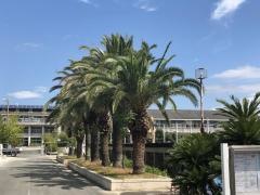 大川小学校