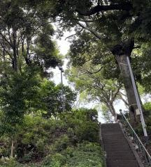 和田宝満公園