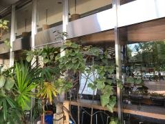 もったいない食堂市民会館店