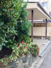 小西医院