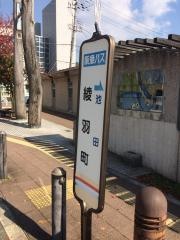 「綾羽町」バス停留所