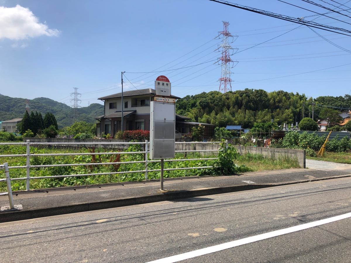 新道寺