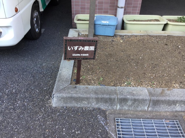 いずみ
