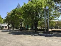 太田市藪塚本町中央運動公園
