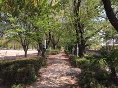 太田市藪塚本町中央運動公園