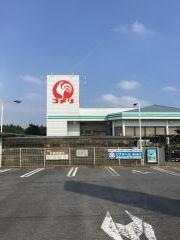 コメリハード＆グリーン　大栄店