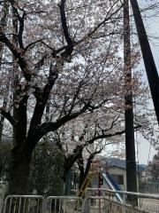 成木小学校