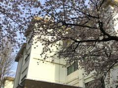 海老名市立海老名中学校