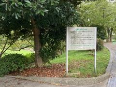 いの山東公園