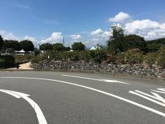 中央公園