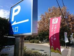 梅の花　佐賀大和店