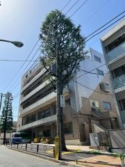 文京大塚みどりの郷