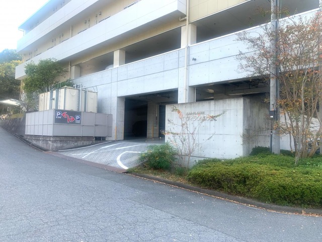 ひまわり