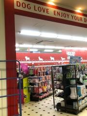 ペットショップ犬の家　マークイズ静岡店