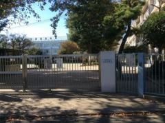 深沢小学校
