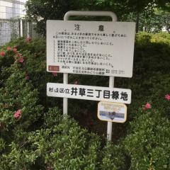 井草三丁目緑地