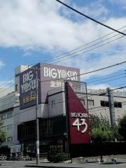 ビッグヨーサン綱島樽町店