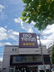 ビッグヨーサン綱島樽町店