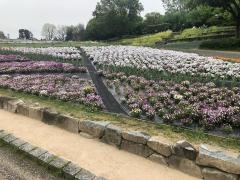 花博記念公園鶴見緑地