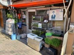大野ペットショップ